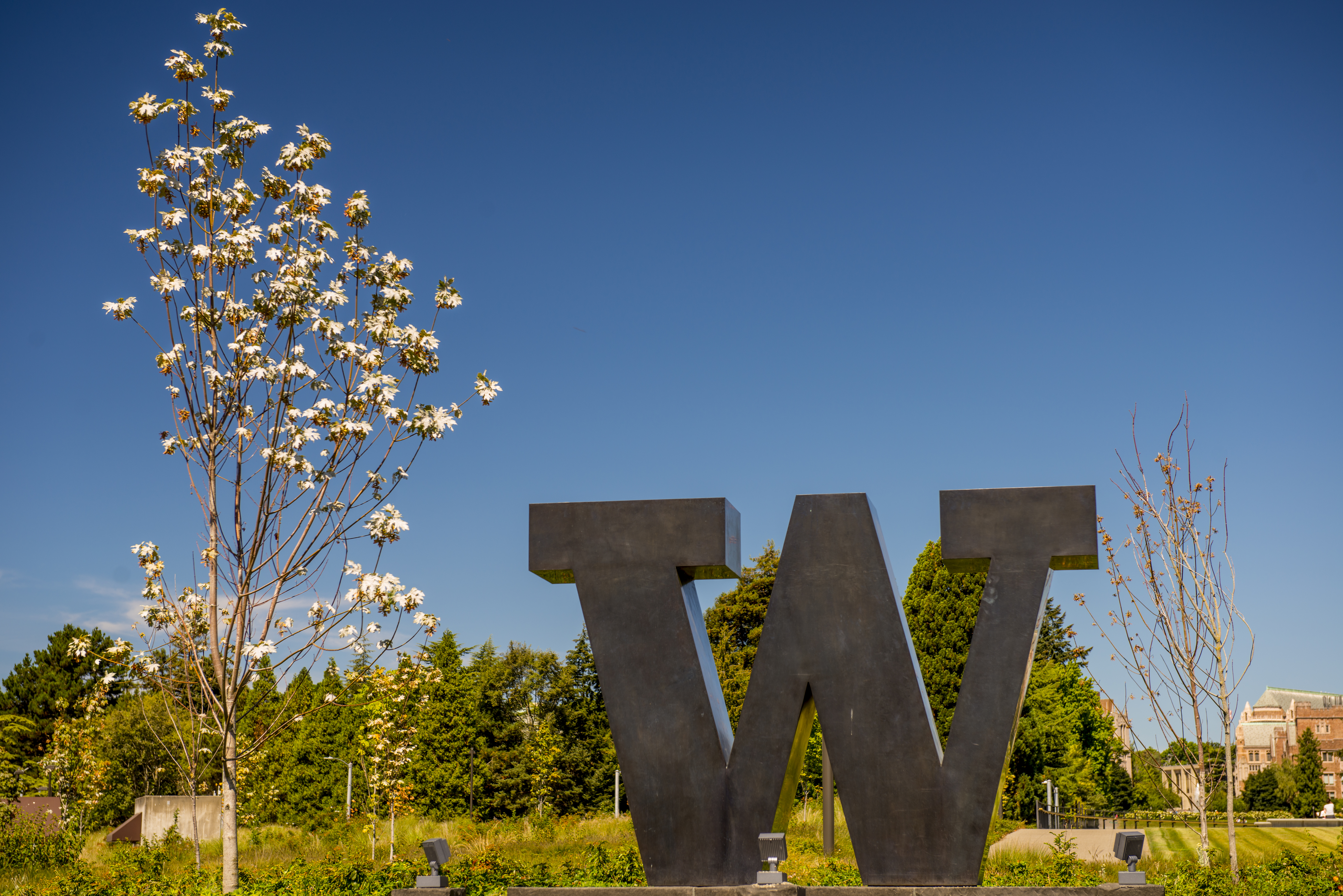 W statue in front of greenery and trees