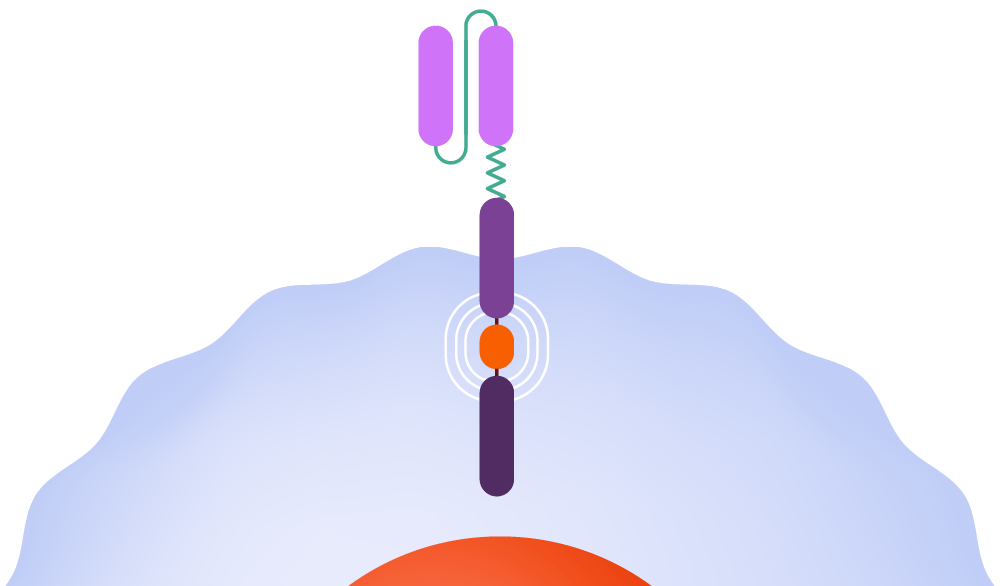 Harnessing the Potential of CAR-T Therapy