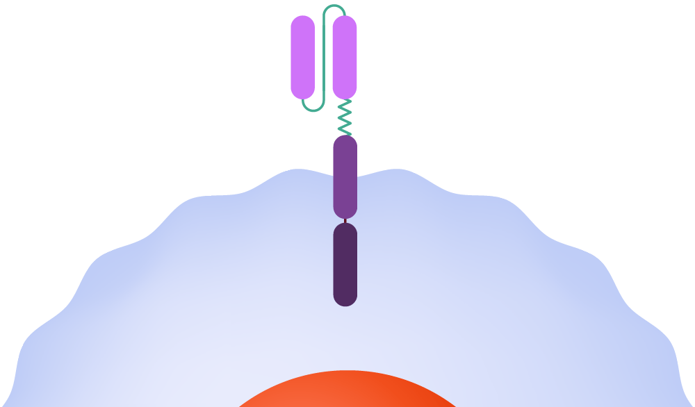 Harnessing the Potential of CAR-T Therapy