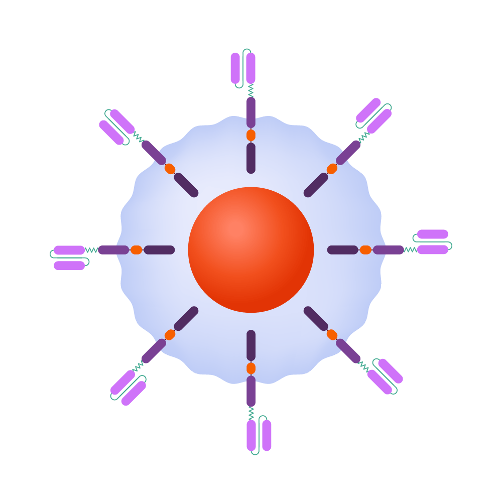 Harnessing the Potential of CAR-T Therapy