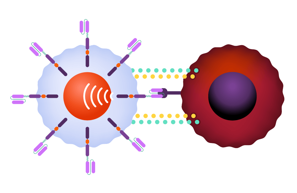 Harnessing the Potential of CAR-T Therapy