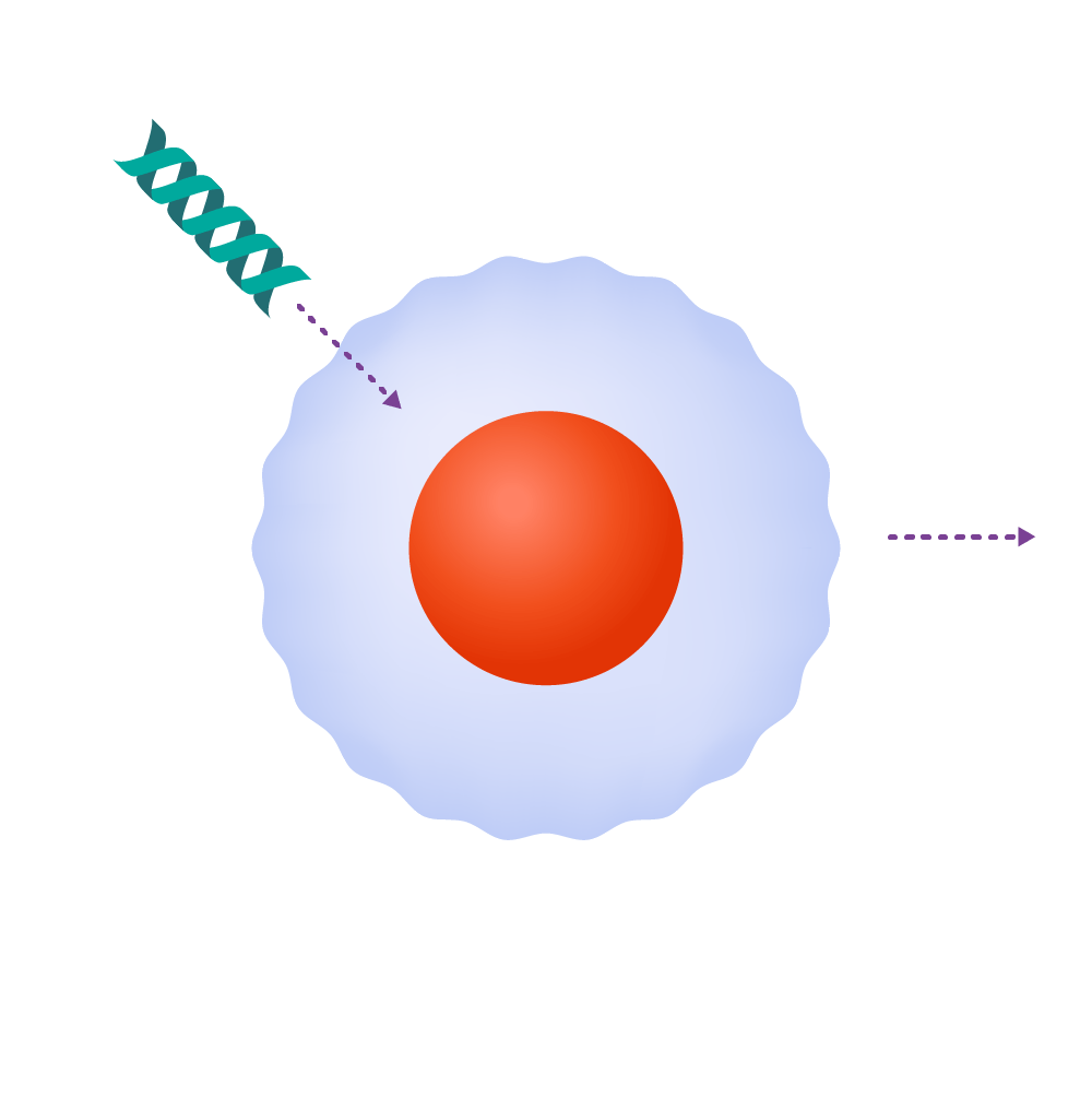 Harnessing the Potential of CAR-T Therapy