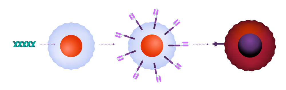 Harnessing the Potential of CAR-T Therapy