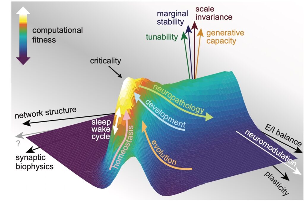 A Comprehensive Framework for Understanding the Mind