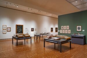 Nature’s Palette: U-M Museums Showcase Insect and Plant Collections at Toledo Museum of Art