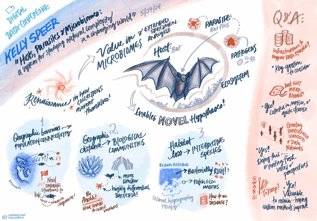 Image by Courtney Foat, advisor for strategic initiatives & organizational engagement at the University of Kansas, who visually recorded and synthesized the keynote address by Kelly Speer at the Digital Data 2024 Conference in Lawrence, Kansas in May of 2024.