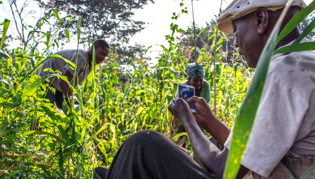 Togo and UC Berkeley: Crafting a Data-Driven Future for West Africa