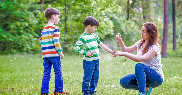 Buzzing Alarm: Shielding Yourself from Ticks and Mosquitoes