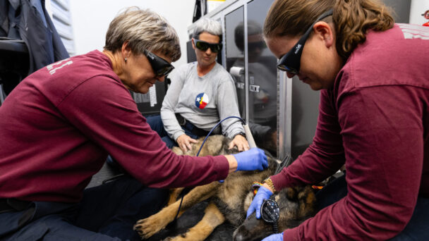 Texas A&M VET Wraps Up Successful Deployment in Central Texas