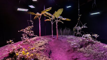 Jessica Segall: Caltech’s 2025 Artist-in-Residence