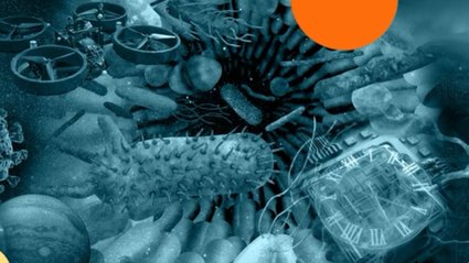 Showcasing the Transformative Power of Federally Funded Research