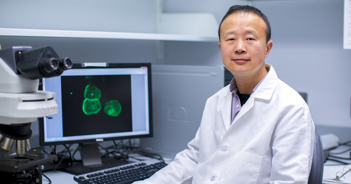 Markey study identifies new target for obesity-related breast cancer