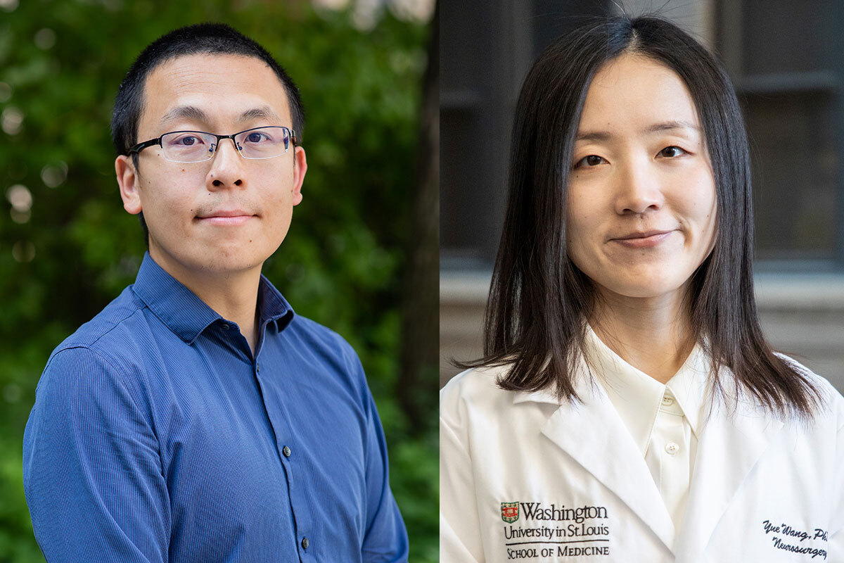 Brain Cells Linked to Facial Recognition Unveiled by Researchers