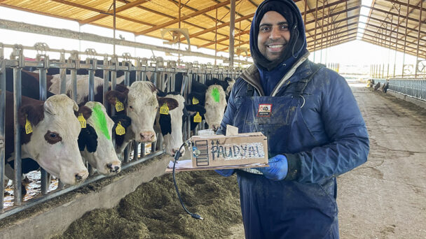Revolutionizing Dairy Management: The Role of AI in Enhanced Precision Care