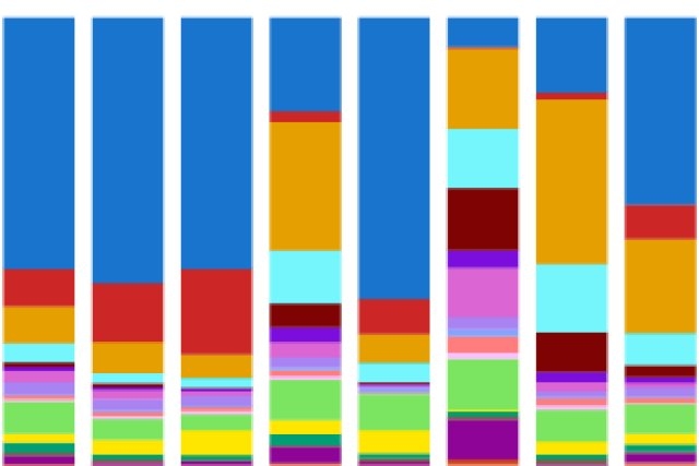 Unveiling Tumor Evolution: A Revolutionary Tool to Track Cellular Dynamics in Time and Space