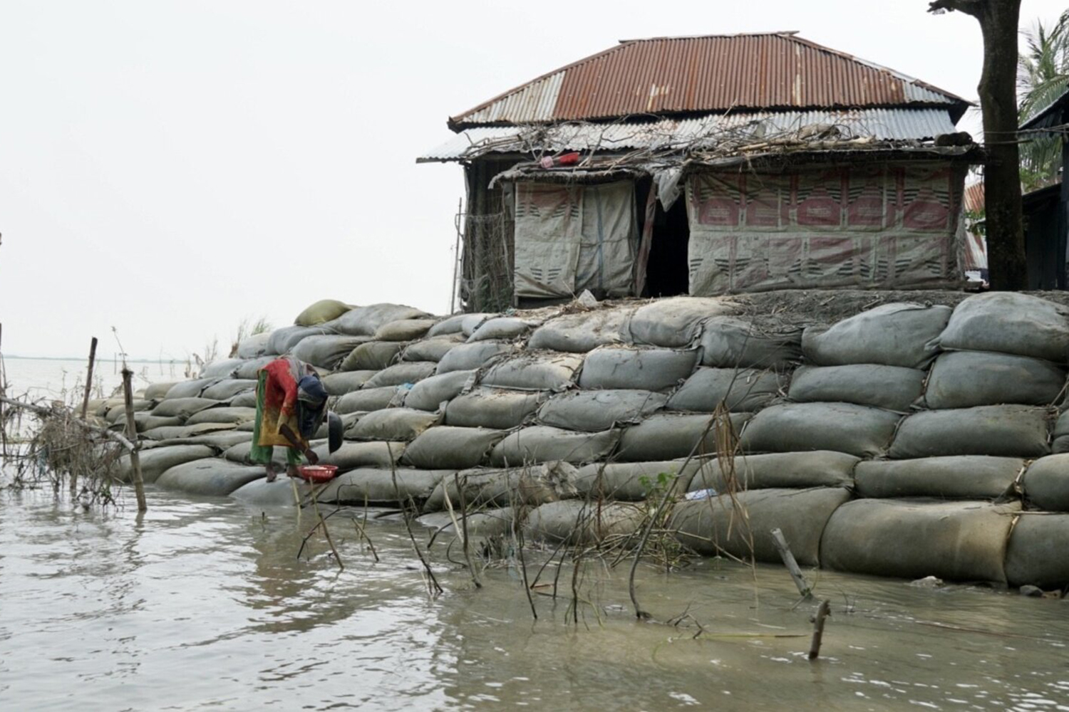The Unseen Emotional Toll of Climate Anxiety
