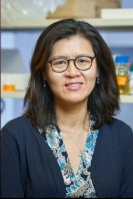 u-m’s-libo-shan-recognized-for-outstanding-contributions-to-the-life-sciences