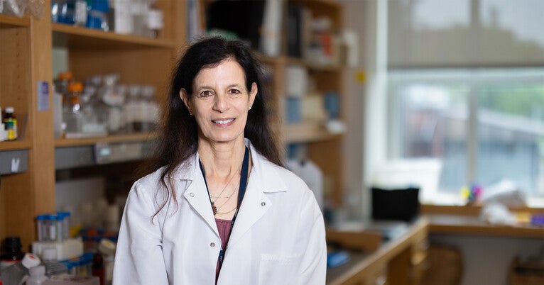 are-mitochondria-the-key-to-a-healthy-brain?