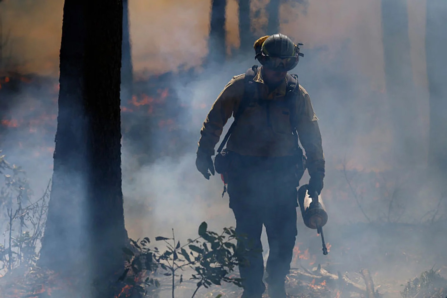 controlled-burns-shown-to-reduce-wildfire-intensity-and-smoke-pollution