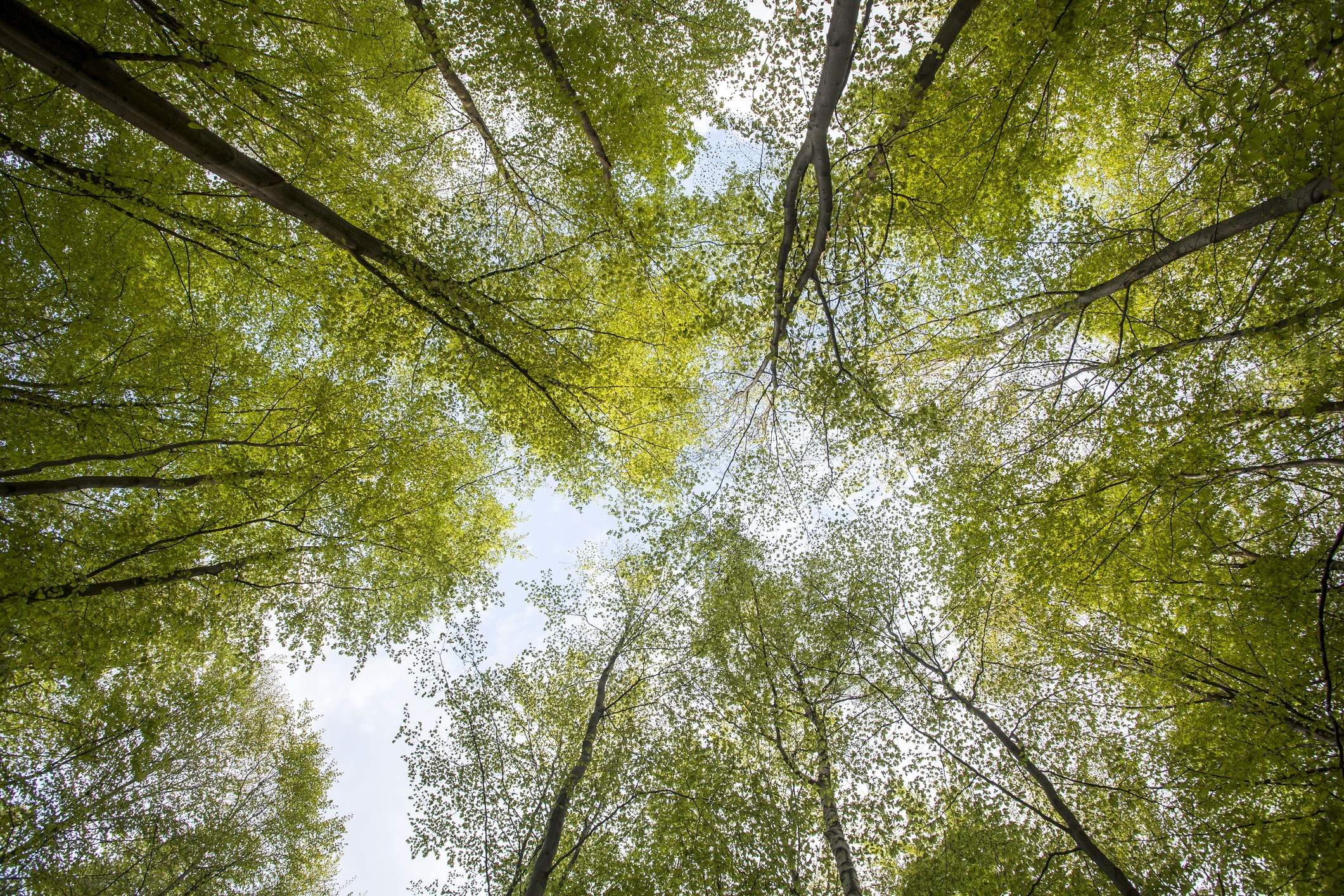 study-shows-plants-and-green-decor-in-hospital-rooms-may-aid-stress-recovery