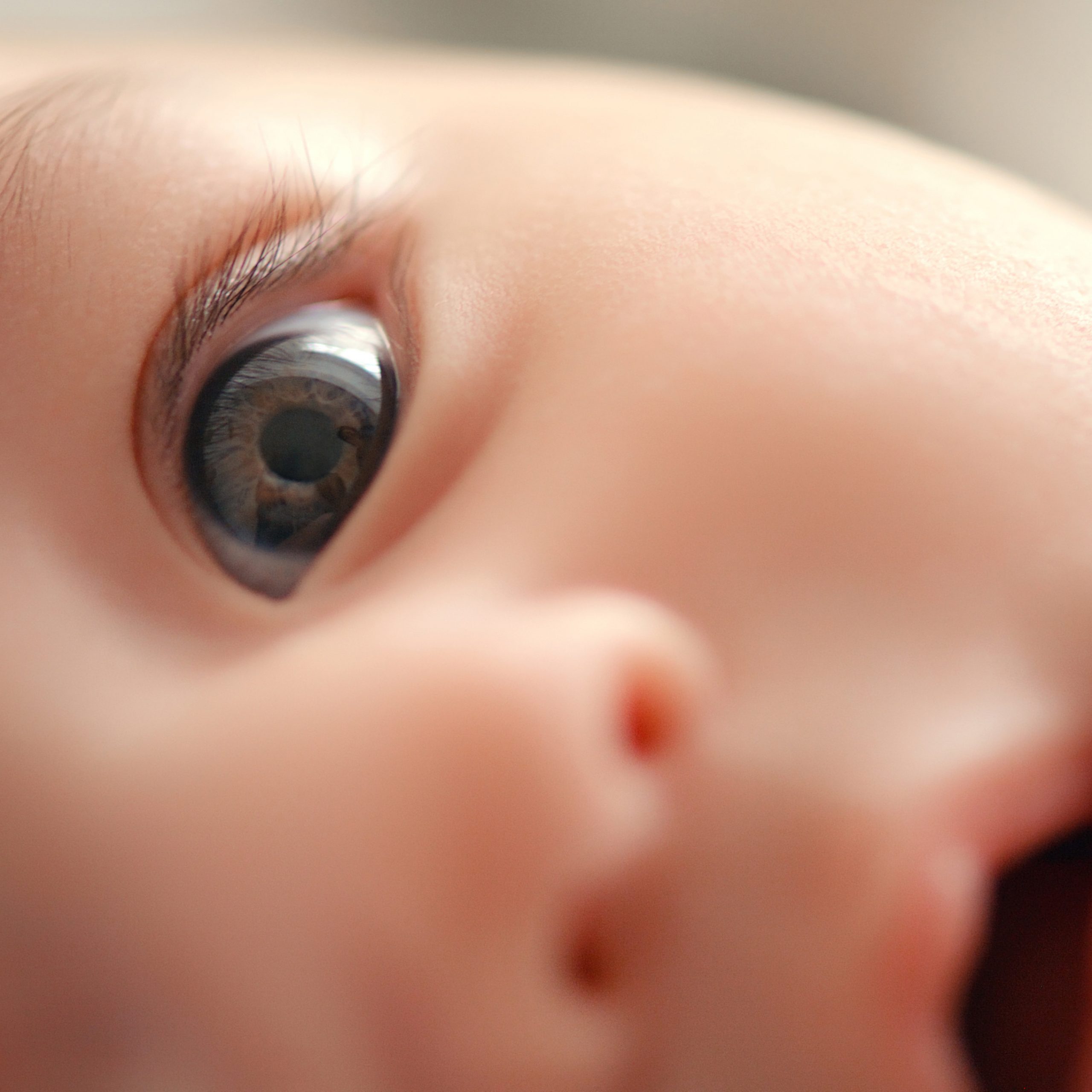 study:-babies’-poor-vision-may-help-organize-visual-brain-pathways