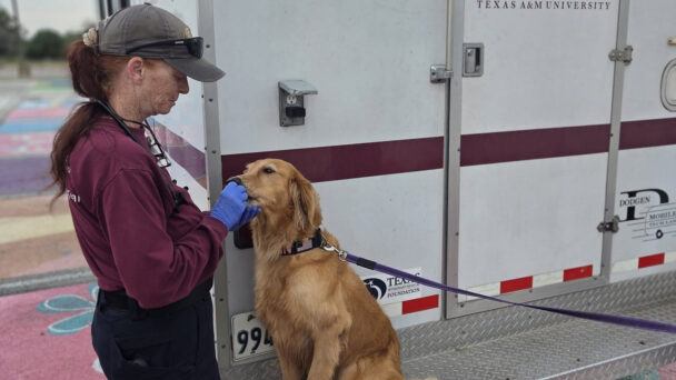 texas-a&m-veterinary-emergency-team-deploys-to-kerr-country-in-response-to-central-texas-flooding