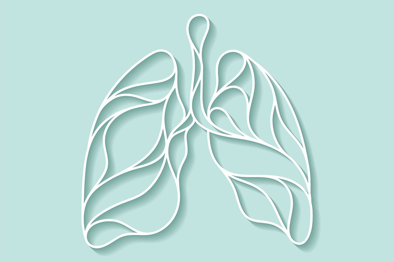 signaling-pathway-could-help-heal-lungs-and-pancreas
