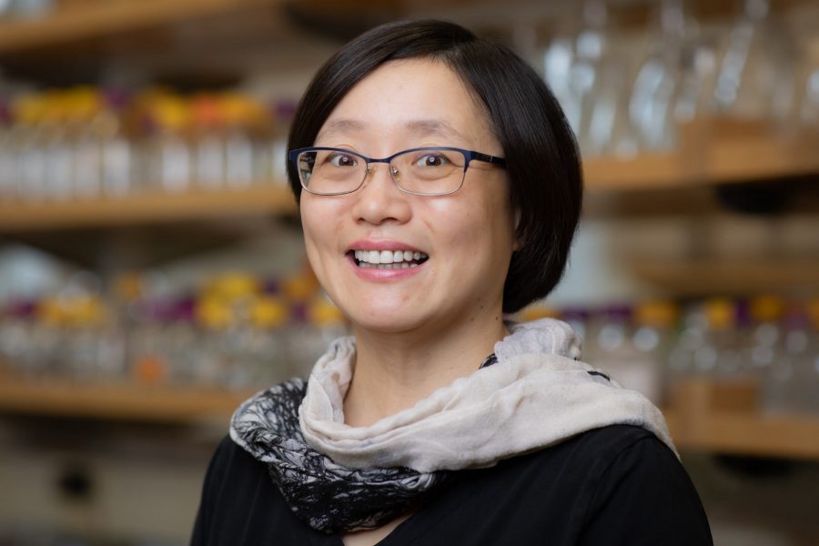 fsu-chemist-recognized-for-contributions-to-the-analysis-and-design-of-functional-materials