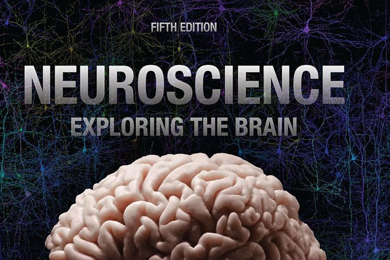 Transforming Minds: An MIT Professor’s Journey in Revolutionizing Neuroscience Education for Hundreds of Thousands