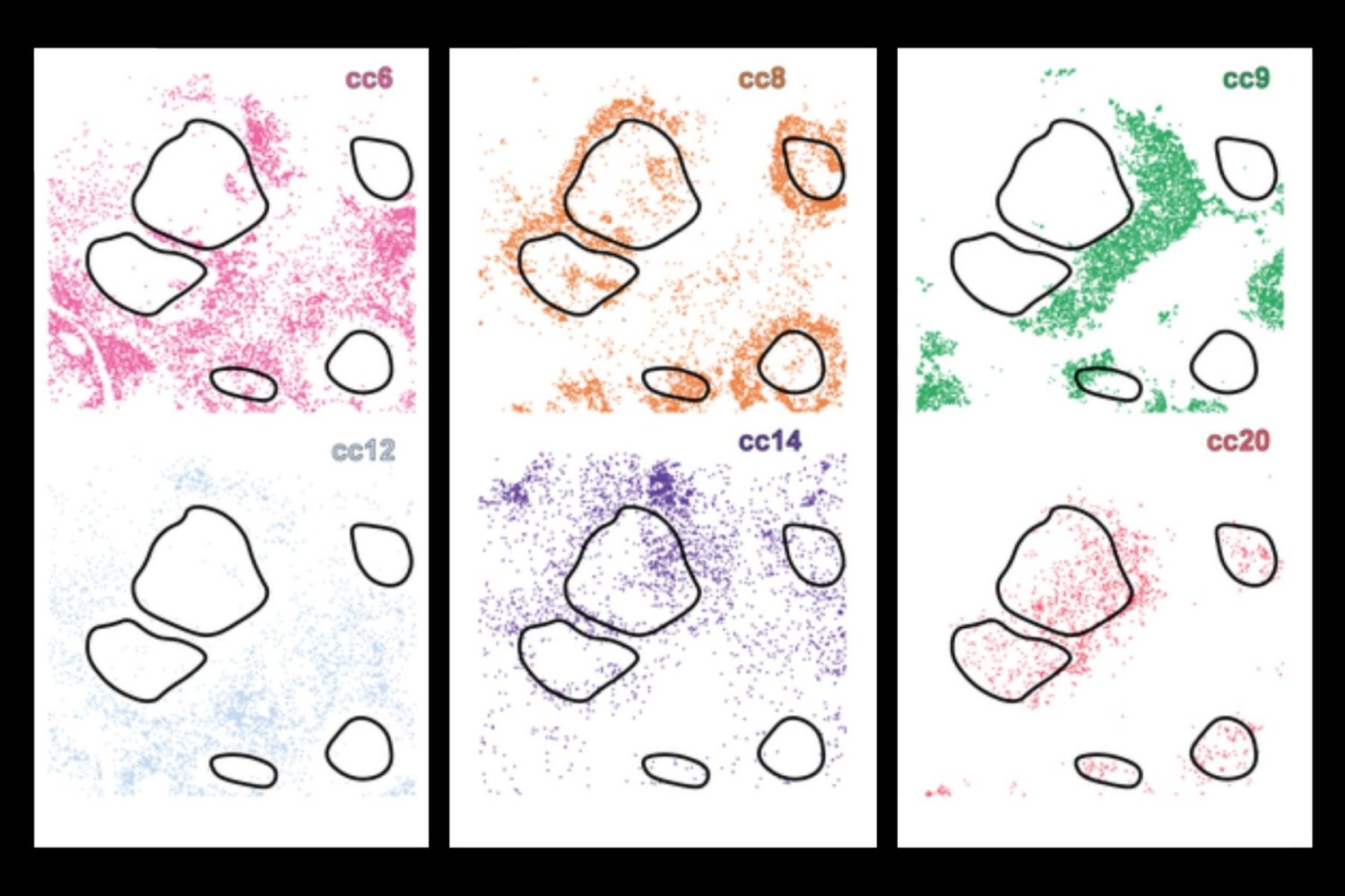 Revolutionary AI Breakthrough Reveals Hidden Cell Subtypes, Enhancing Precision Medicine
