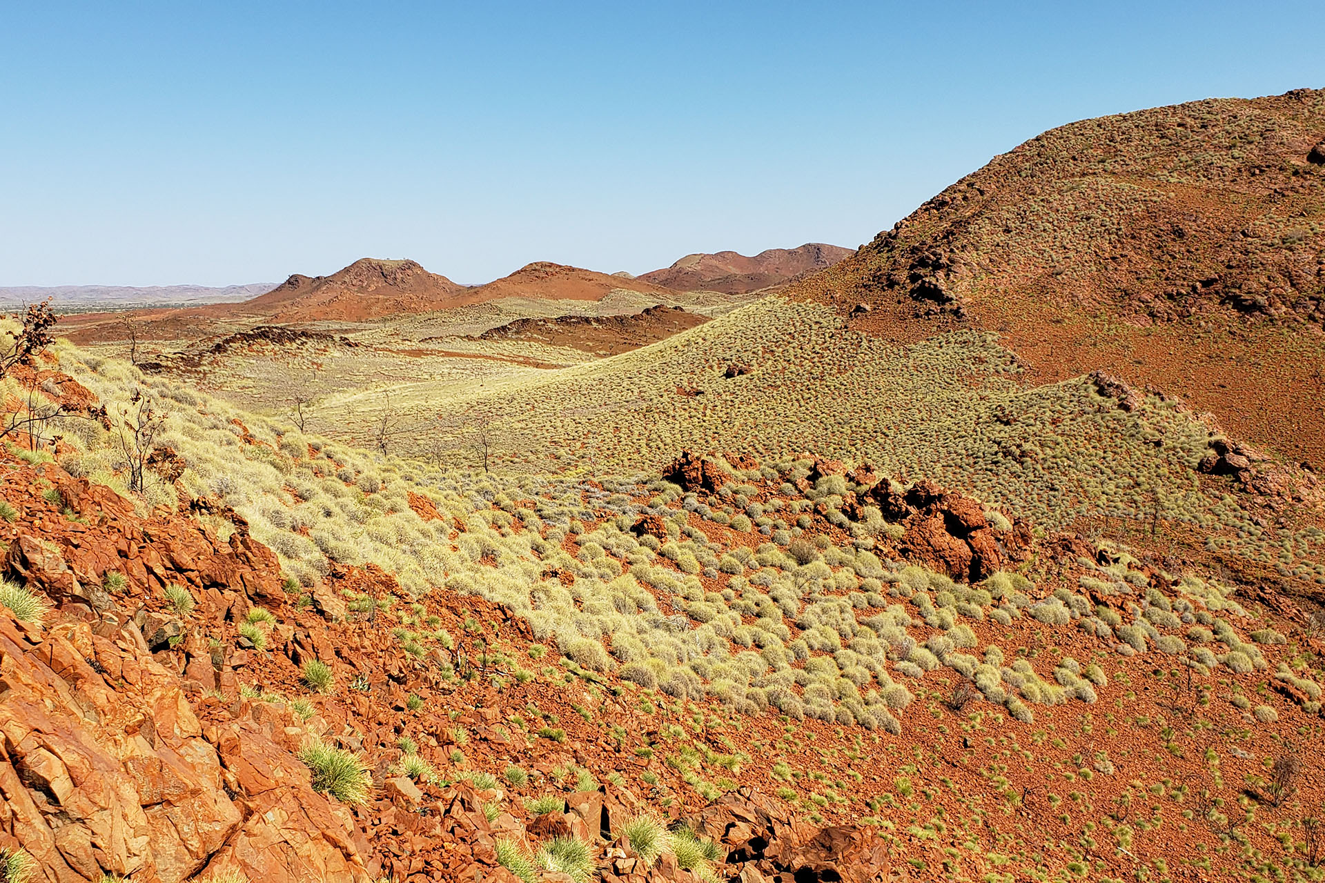 Fiery Debate Surrounding Influences and Consequences
