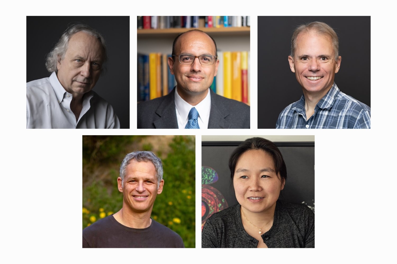 MIT Faculty Members Honored with Induction into the National Academy of Sciences for 2025