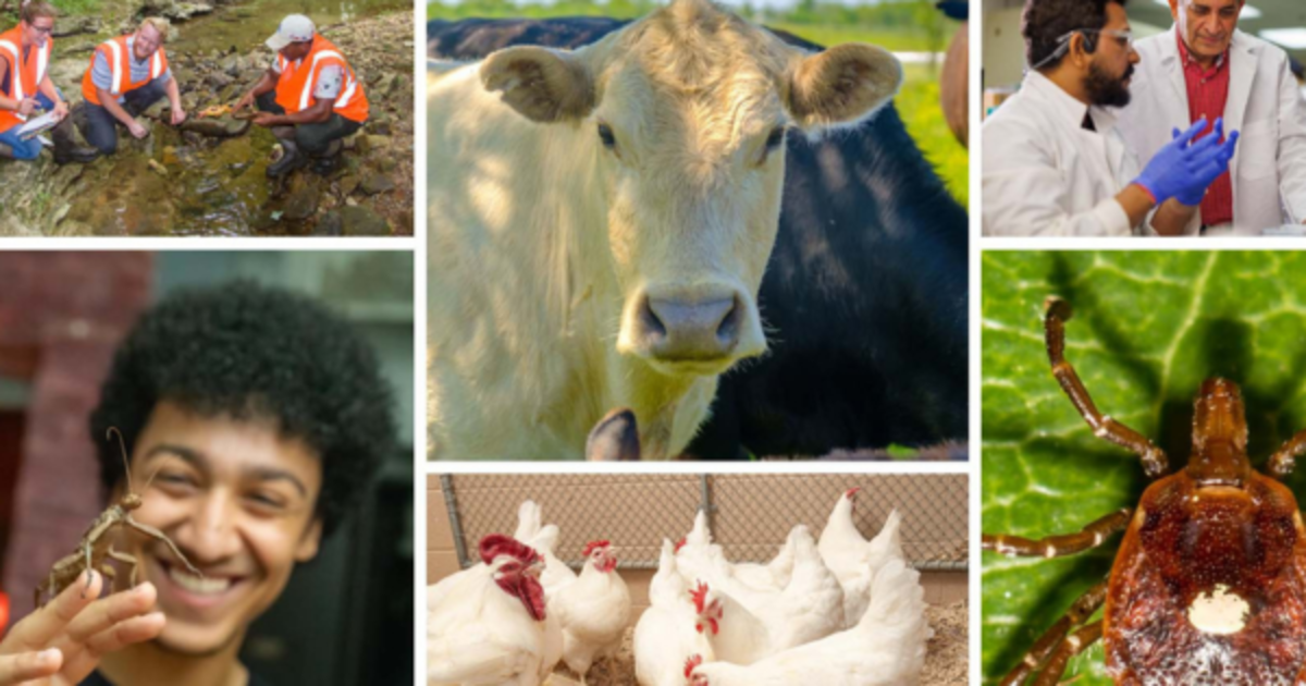 UK launches One Health Initiative, welcoming new members and partnerships