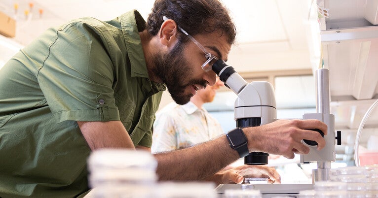 Neurons Harness Intrinsic ‘Backup Batteries’ to Power the Brain During Stress