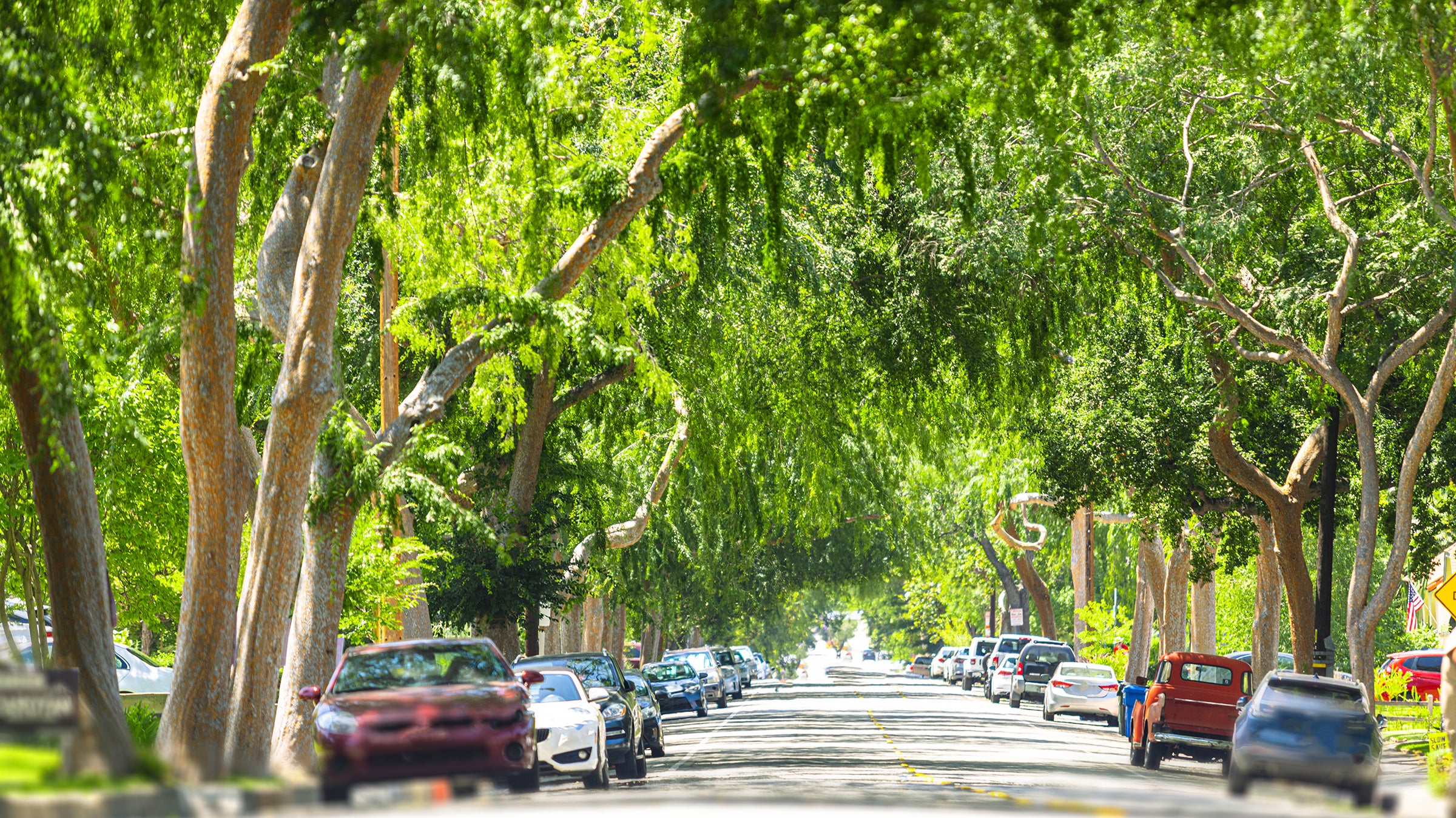 USC Joins Forces with ShadeLA Coalition to Combat Urban Heat in Los Angeles Before 2028