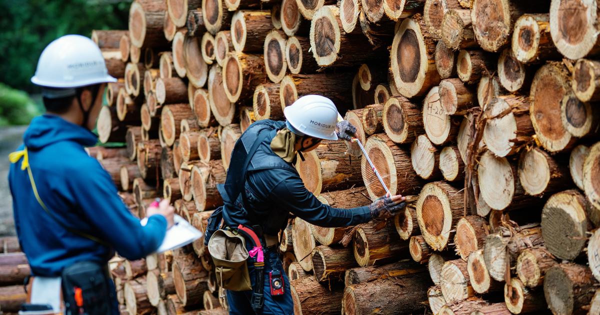 mass-timber-could-drive-forest-expansion-and-cut-emissions