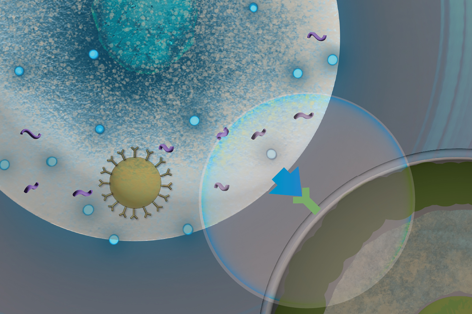 cancer-fighting-car-t-cells-generated-in-the-body-prove-safe-and-effective-in-mice