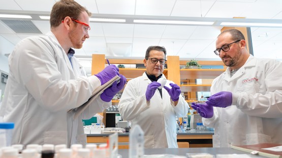 New York State Invests $10 Million to Revitalize Cornell Program for Economic and Job Expansion