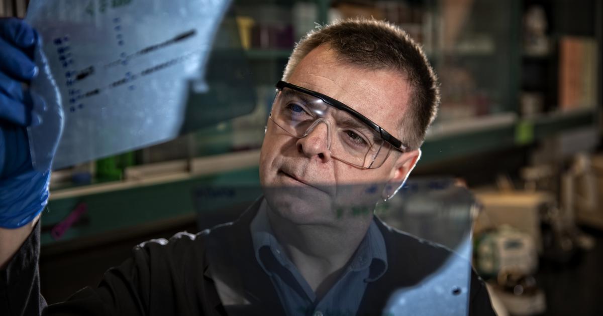 M. Paul Murphy: 2025-26 University Research Professor Q&A