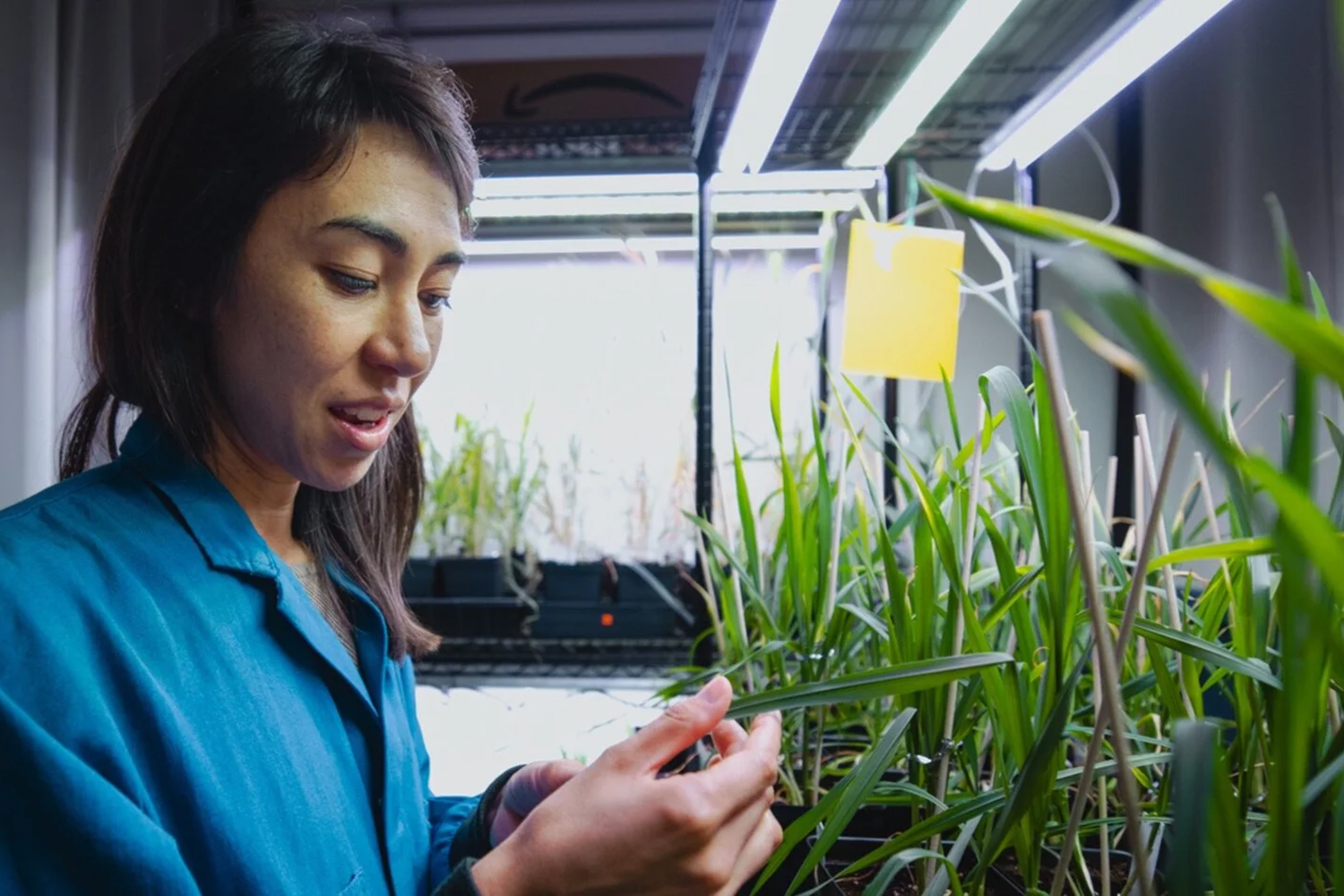 Sustainability Accelerator Unveils 41 Innovative Projects Ready for Rapid Growth