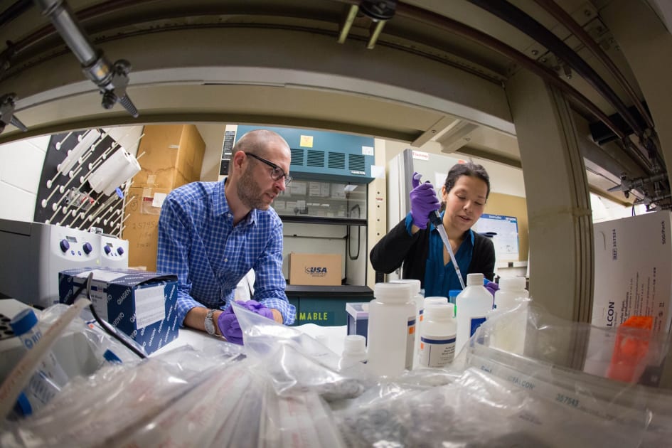 Groundbreaking Interdisciplinary Research Funded by YSPH Pilot Grants