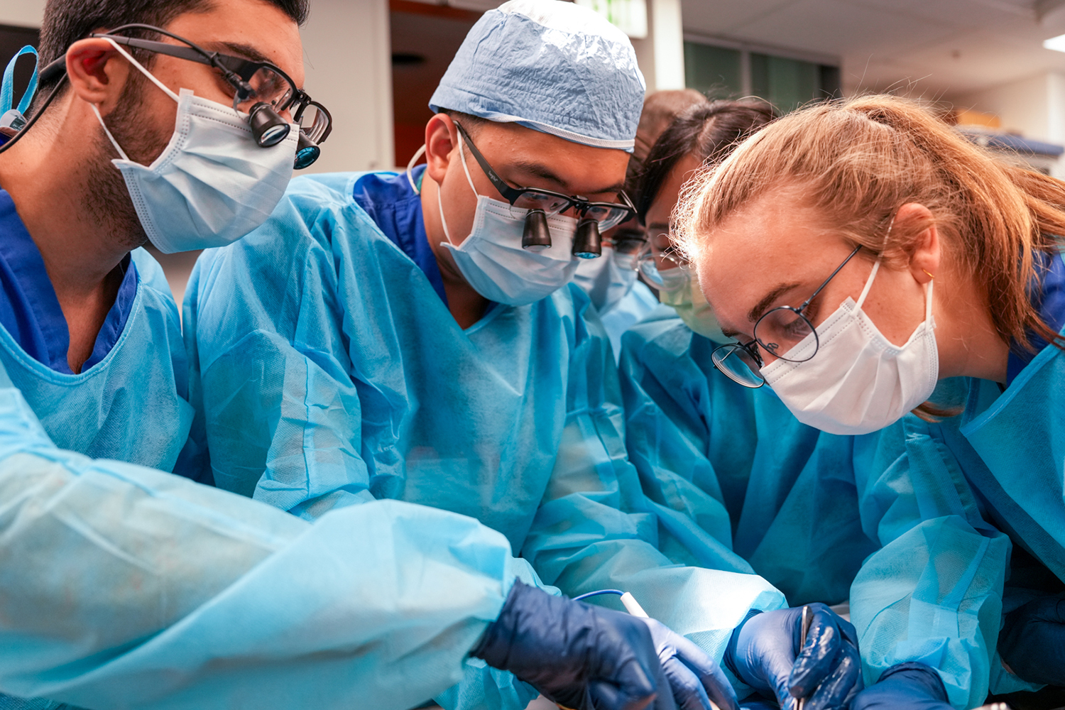 The Role of Embalmers in Shaping Future Medical Professionals