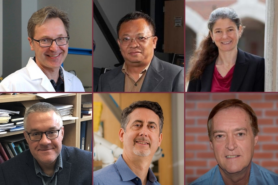 Clockwise from top left: Igor Alabugin, Richard Liang, Angelina Sutin, Christopher Patrick, Joseph Schlenoff and Robert Schurko. These six Florida State University researchers have been acknowledged by the Academy of Science, Engineering and Medicine of Florida.