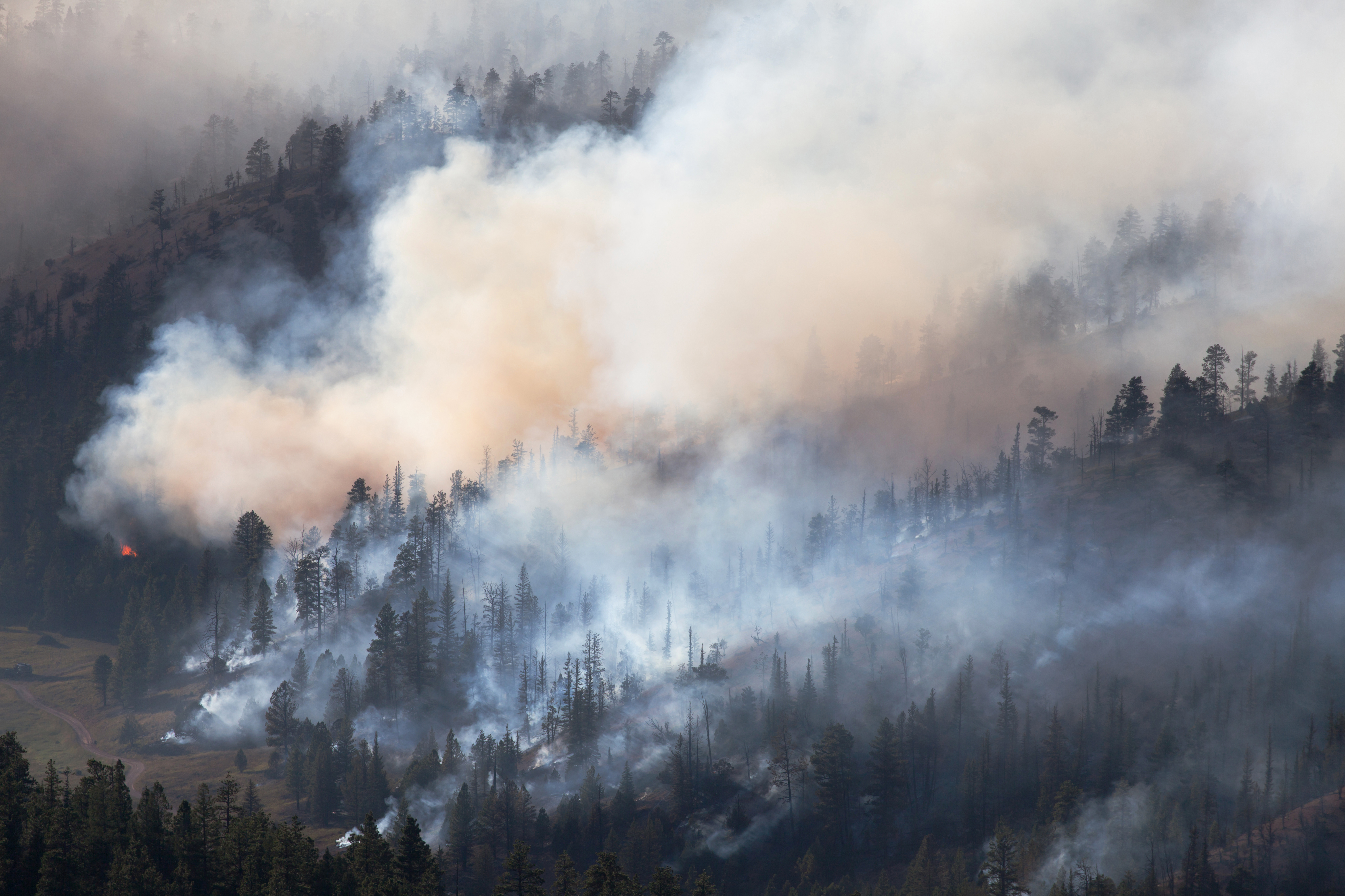 wildfire smoke