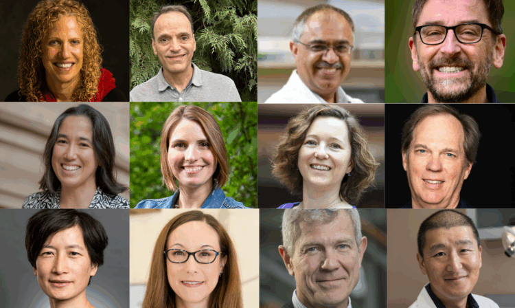 A photo montage showcasing headshots of 12 UW faculty members.