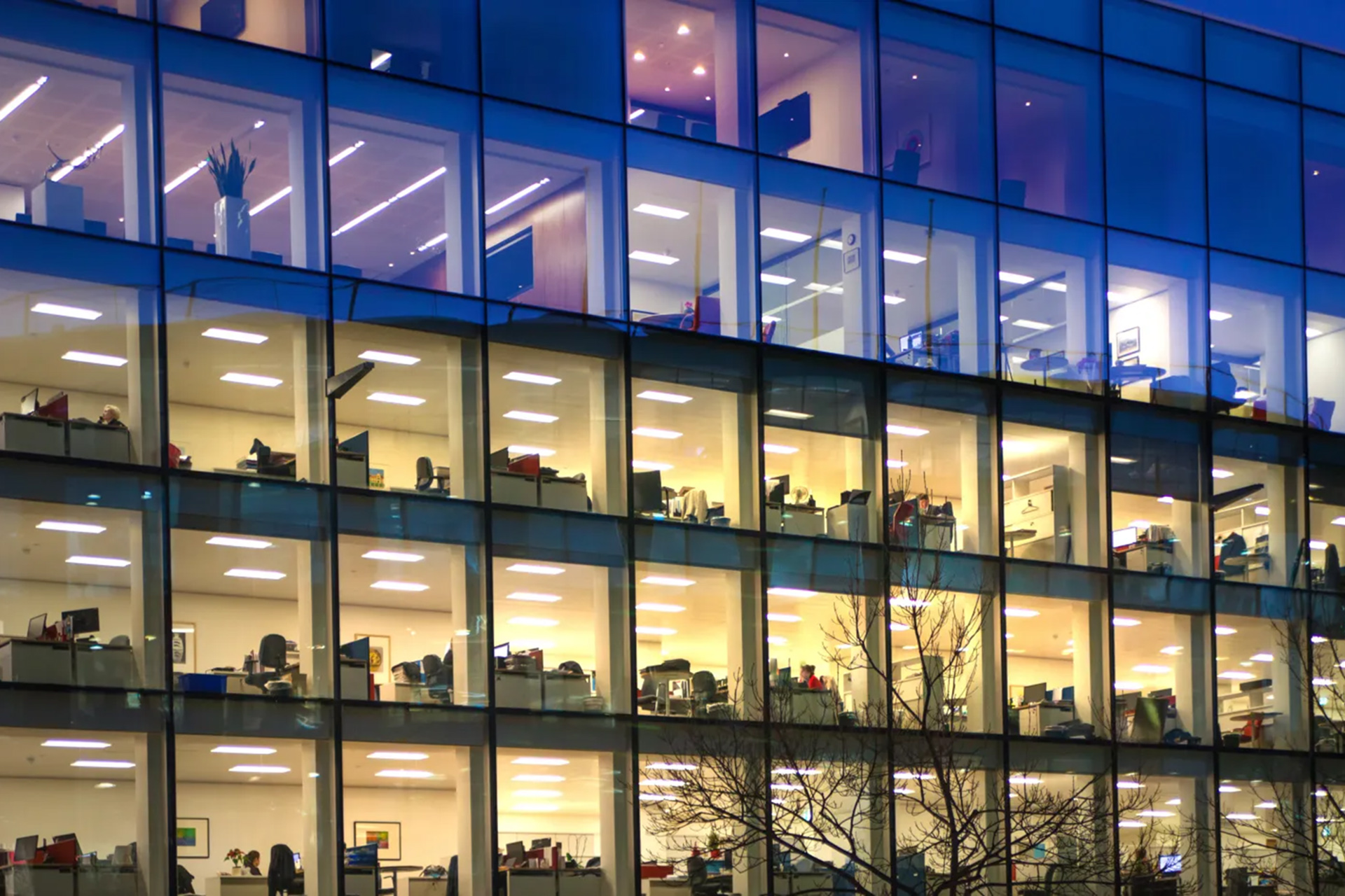 Office structure during nighttime.