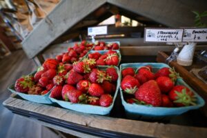 Farm Fresh: Connecting Michigan Communities with Year-Round Produce