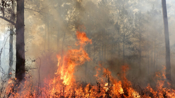 Texas A&M System Champions $59.8M Initiative for Autonomous Helicopter Wildfire Response