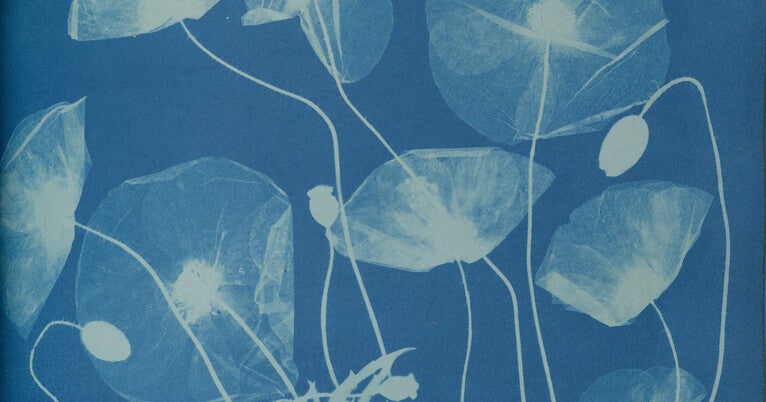 Ethereal Visions: The Enchantment of Primitive Photography