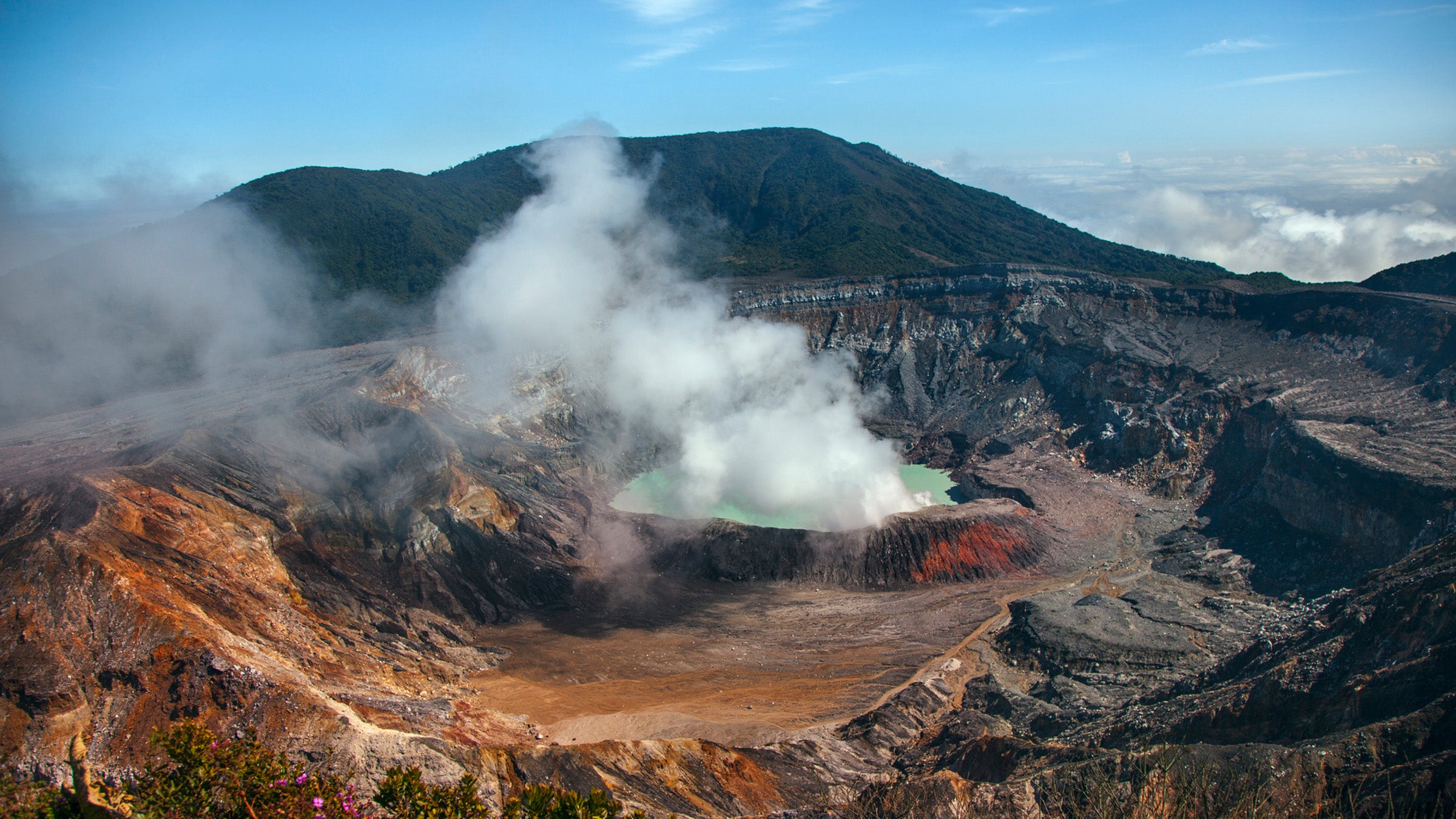 Unveiling the Hidden World of Deep Earth Microbes